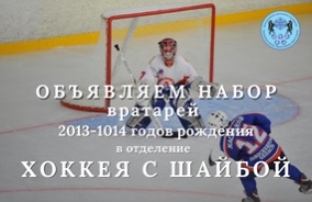 Набор хоккейных вратарей 2013-2014 г.р.