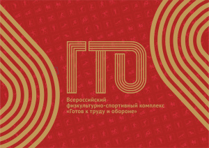Тестирование ГТО пройдено!