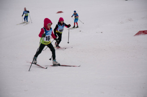Итоги соревнований «Открытие зимнего лыжного сезона 2019-2020 в Новосибирске».