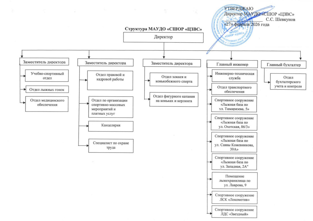 Структура организации