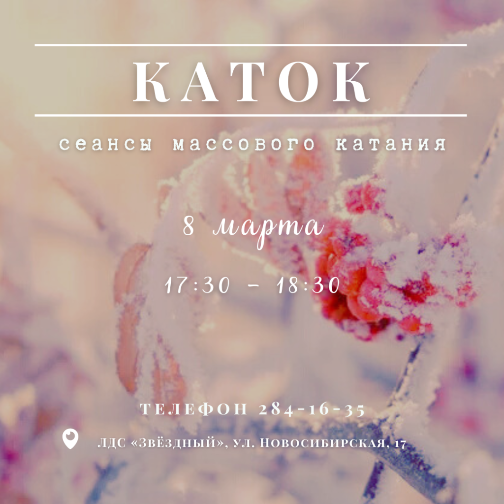 Массовое катание в ЛДС «Звёздный» 